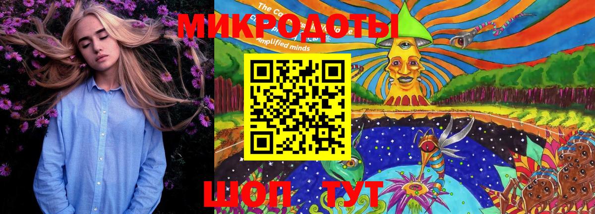 Псилоцибиновые грибы мухоморы Кисловодск